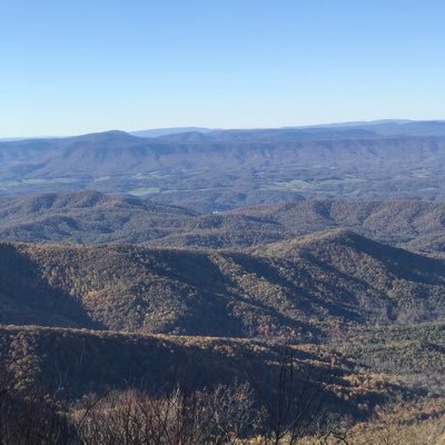 LynSPK5's profile picture. 