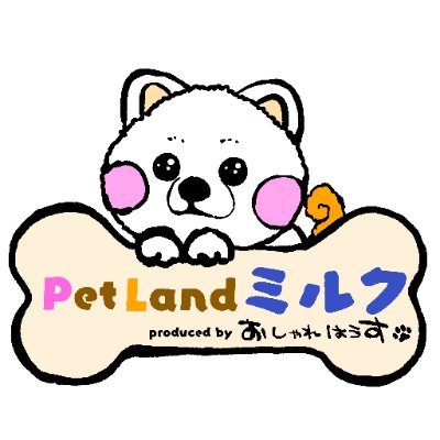ペットショップおしゃれはうす ペットランドミルク ニューフェイス のご紹介です ヨークシャテリアの女の子 超小顔で 体も小さめな かわい子ちゃん 是非 会いにきて下さい ペットランドミルク白浜店 おしゃれはうす姫路 犬好 ヨーキー ペットショップおしゃれはうす ペットランドミルク ニューフェイス のご紹介です ヨークシャテリアの女の子 超小顔で 体も小さめな かわい子ちゃん 是非 会いにきて下さい ペットランドミルク白浜店 おしゃれはうす姫路 犬好 ヨーキー