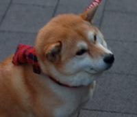 aouioi's profile picture. 