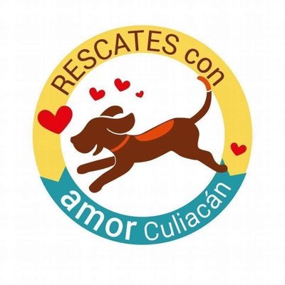 EQUIPO DE RESCATES DE ANIMALES EN SITUACIÓN DE CALLE REHABILITACIÓN,EDUCACIÓN,ESTERILIZACIÓN Y ADOPCIÓN