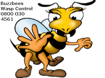BuzzbeesPest's profile picture. Buzzbees Pest Control offers the complete pest control service.We cover all London and Essex areas.Call Free on 0800-030-4561