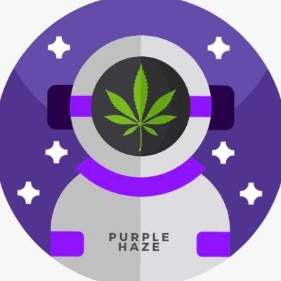 purplehazecoin Profile Picture