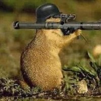 Hayvanistan 🇹🇷 🇦🇿 🇹🇲 🇰🇿 🇰🇬 🇺🇿 (@hayvanistan) Twitter profile photo