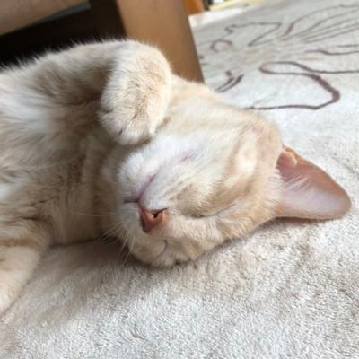 まるさんのプロフィール画像