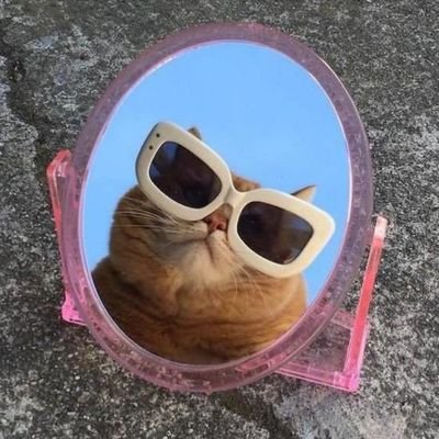 Queenkgotsofat1's profile picture. jesus take the wheel🥺🕊🥰