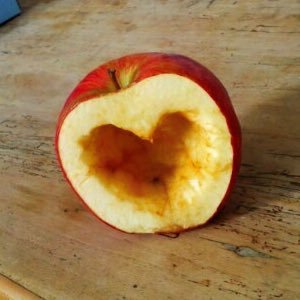 ycapple321's profile picture. 趣味♡佐藤健さん あんなことやこんなことを細かく研究してます