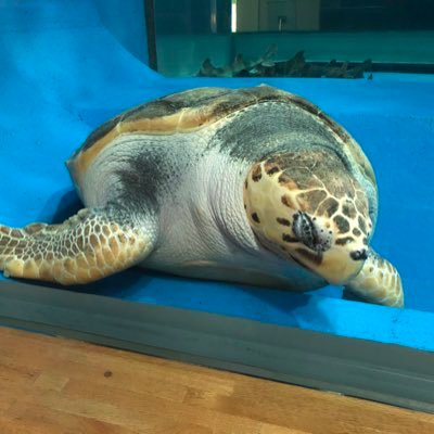 mitsuru nakataさんのプロフィール画像