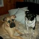 Sara Kelso - @sckelso - Twitter