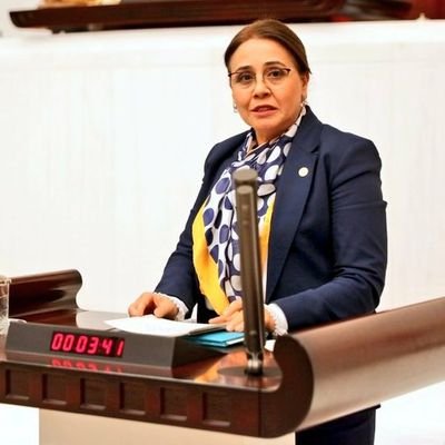 27. Dönem AK Parti Ankara Milletvekili      
Genel Cerrahi Profesörü