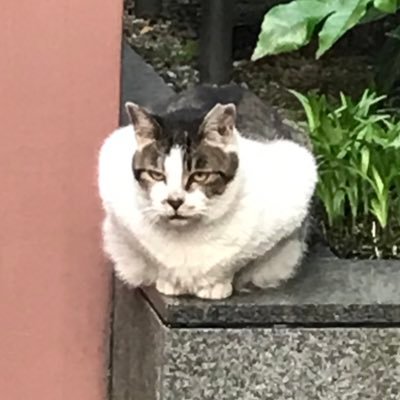 がみーです。二子山部屋 二子山部屋 (@futagoyama_sumo) • Instagram photos and videos