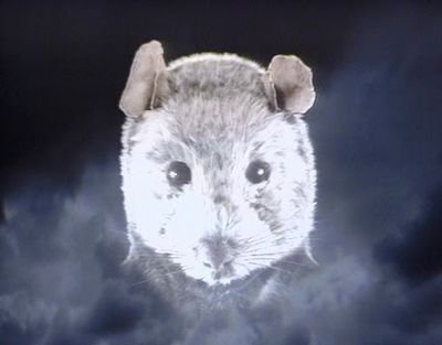 The Mouse from the Box of Delights.


Not Simon Berry
