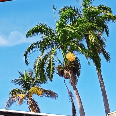 natyhallen's profile picture. 