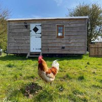 Counting Sheep Glamping (@glampingsheep) Twitter profile photo