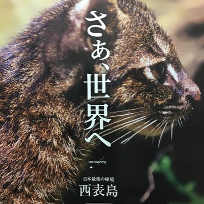ryman_takechan's profile picture. 音楽とスポーツ（ほぼ阪神。他も少々）を愛する普通の人です。今日より明日、明日より明後日がより良い日であるように願います。 Wishing all the HAPPY in the world!