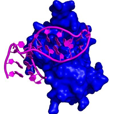 SchlundtLabNMR