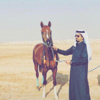💎مربط همدان للخيل العربيه الاصيله (@saleh_julidan) 's Twitter Profile Photo
