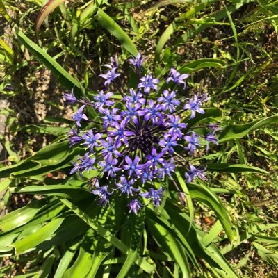 八の国の住人。資格マニア。花粉はフルコンプ状態の食アレ持ち。迷走神経が過敏で過換気持ちなので色々とご迷惑お掛けしますがよろしくお願いします。石好き。フグ好き。クラゲ好きです。
