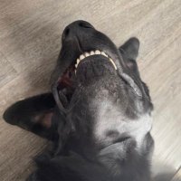 New venture coming (@pairodicehops) 's Twitter Profile Photo