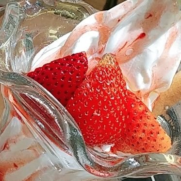 miomio_0o's profile picture. 20↑成人済みです。見る専垢、鍵垢からの、無言フォロー失礼します。今は🌈🕒