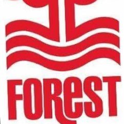 MefsTical's profile picture. #nffc