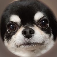 佐助のママ (@t9gpuesz22ksofv) 's Twitter Profile Photo 佐助のママ (@t9gpuesz22ksofv) 's Twitter Profile Photo