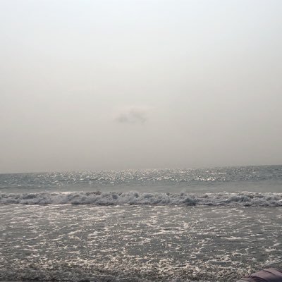 RinknewSin's profile picture. 新竹
