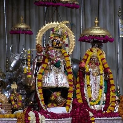 R_S_UDR's profile picture. 