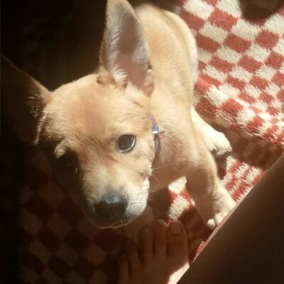 iamladybirdd's profile picture. offer me ice cream/🌴🌞🌊/ apa's mama