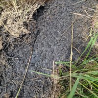 NoToxicSludge (@no_sludge) 's Twitter Profile