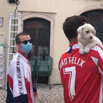 _capitao___'s profile picture. 🐵