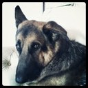 Ray kimber - @Chickenhummer12 - Twitter