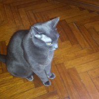 Merjimar (@merjimar2) 's Twitter Profile