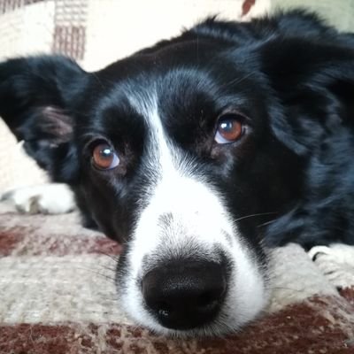 ItsMonikaDobi's profile picture. 