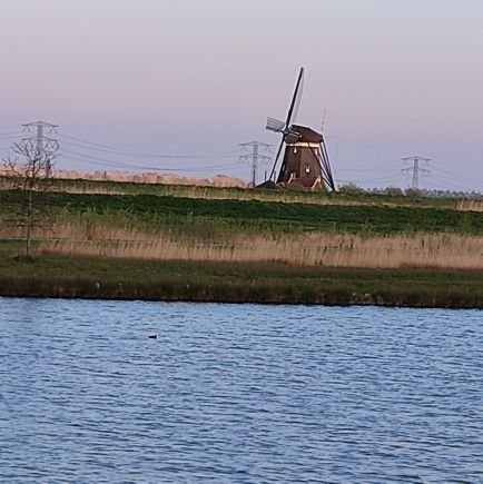 Padre de Martina y Iara .💘💓
casado con Helen .😍
logística en Getru Bedrijvelan Bleiswijk Zuid  Holland .🇱🇺