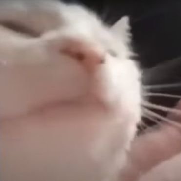 lefterikk52's profile picture. Now with one more k at the end.