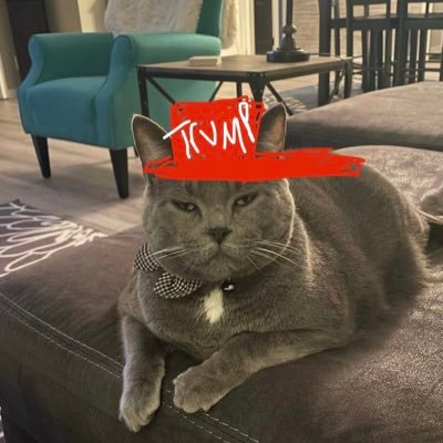 AnnaeliseAnder1's profile picture. Mom. Conservative. Social worker. Football fan!