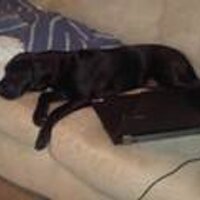 Samantha (@samanthaming) 's Twitter Profile