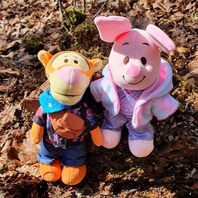 Adventures of Tigger and Piglet. 🏕💕
Based in Bavaria, Germany 🇩🇪
#DisneyNuimos