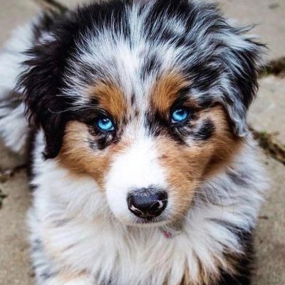 ellenswan25's profile picture. They said that my name can't be blank.
They're wrong.