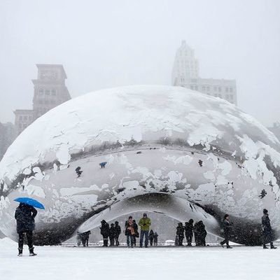 londo84's profile picture. Economista, Adm. Salud , DIM®