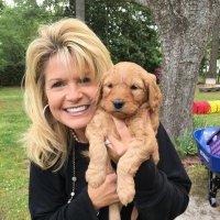 Kathy Rouse Wall (@10kathywall) 's Twitter Profile