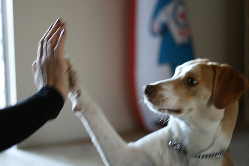 bdossena's profile picture. Attorney