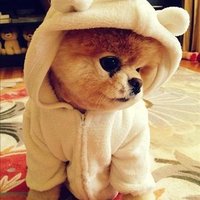 Heath Winter ❤️ Memecoin (@heathwinter1) 's Twitter Profile