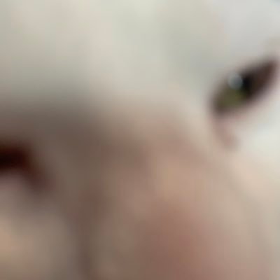 SophiaAndStufff's profile picture. Black Lives Matter any pronouns I couldn’t care less - professional guardians tweeter