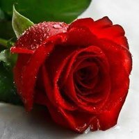 gülcan (@gulcan73547) 's Twitter Profile Photo gülcan (@gulcan73547) 's Twitter Profile Photo