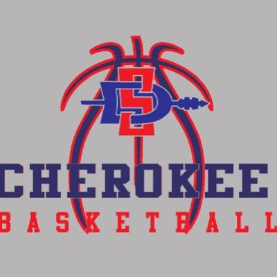 Key updates and success for South Doyle Men’s Basketball