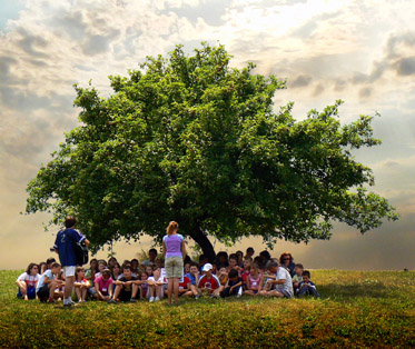 zivotna_skola's profile picture. 