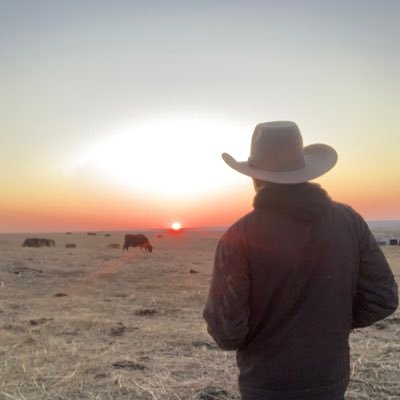 johndeurmier's profile picture. 