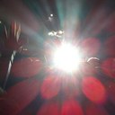 Kyle Brandenburg - @TheRealKyleB - Twitter