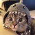 aciel (@privdumpacct) Twitter profile photo aciel (@privdumpacct) Twitter profile photo